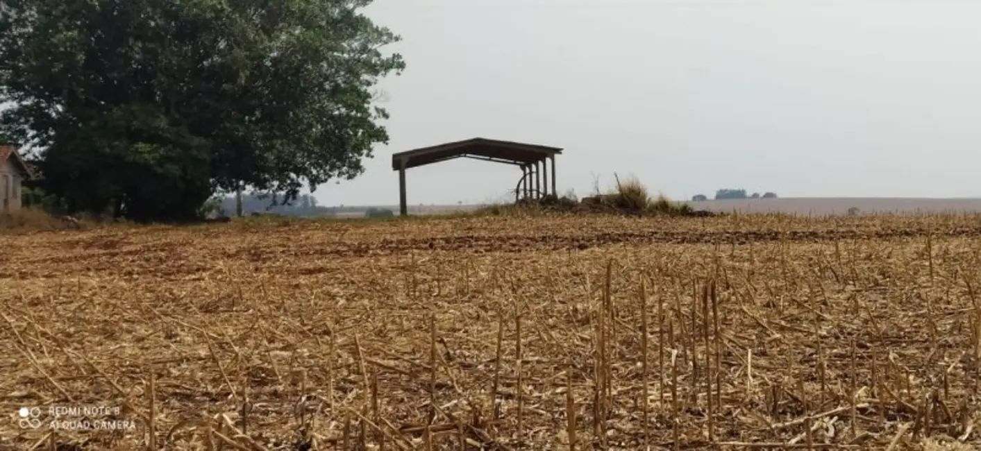 Foto 8 de Fazenda / Haras à venda, 108m2 em Área Rural de Campo Mourão, Campo Mourao - PR