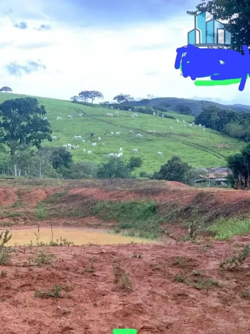 Foto 5 de Fazenda / Haras à venda, 300m2 em Piumhi - MG