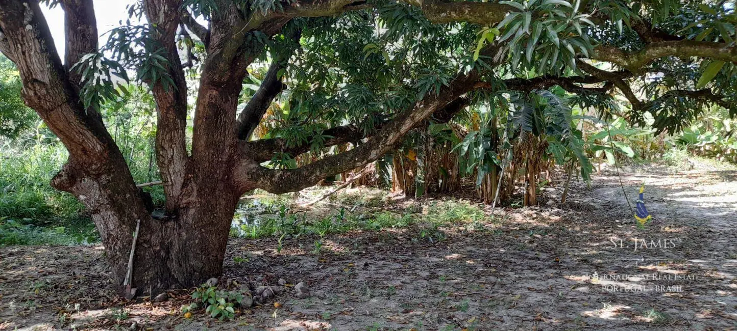 Chácara com 4 quartos à venda, 8700m2 em Nisia Floresta - RN - imagem 9 Foto 9 de Chácara com 4 quartos à venda, 8700m2 em Nisia Floresta - RN