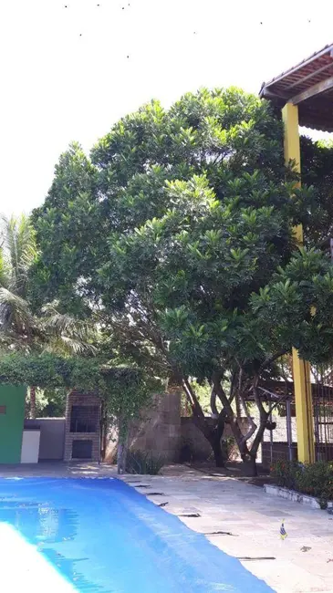 Foto 4 de Chácara com 4 quartos à venda, 4140m2 em Lucena - PB