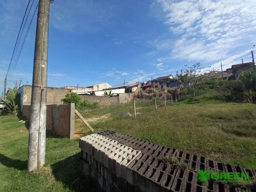 Foto 4 de Terreno / Lote à venda, 300m2 em Registro - SP