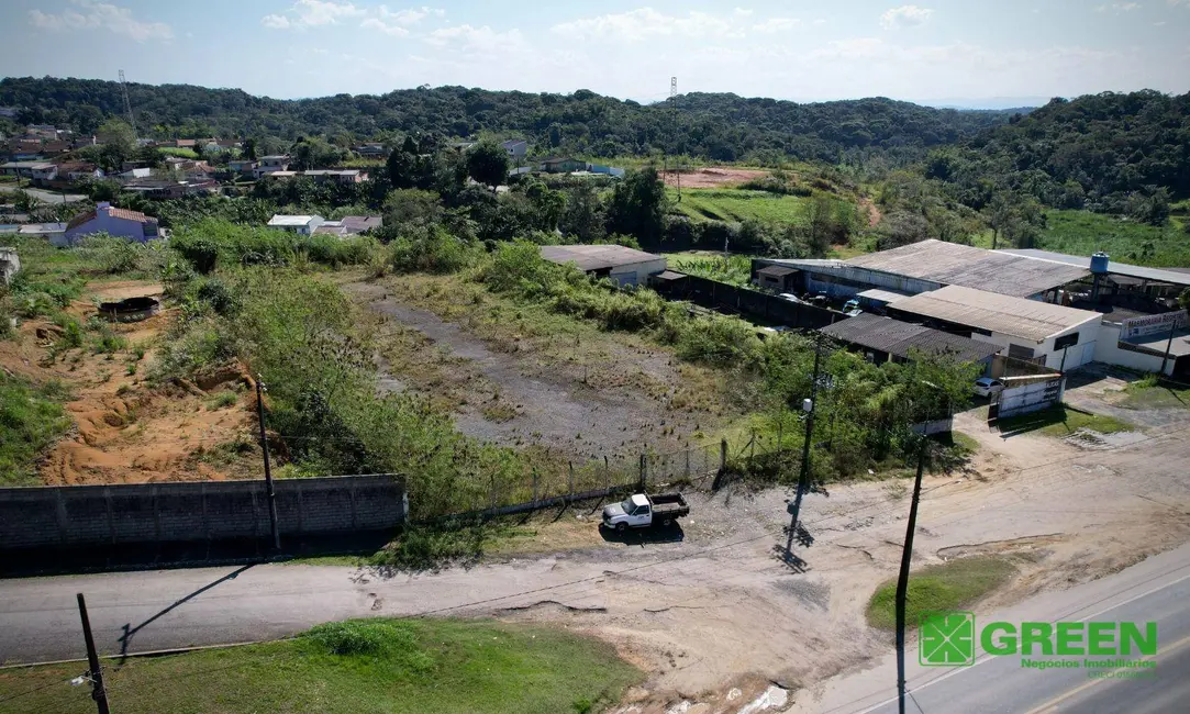 Foto 3 de Terreno / Lote à venda, 4000m2 em Registro - SP