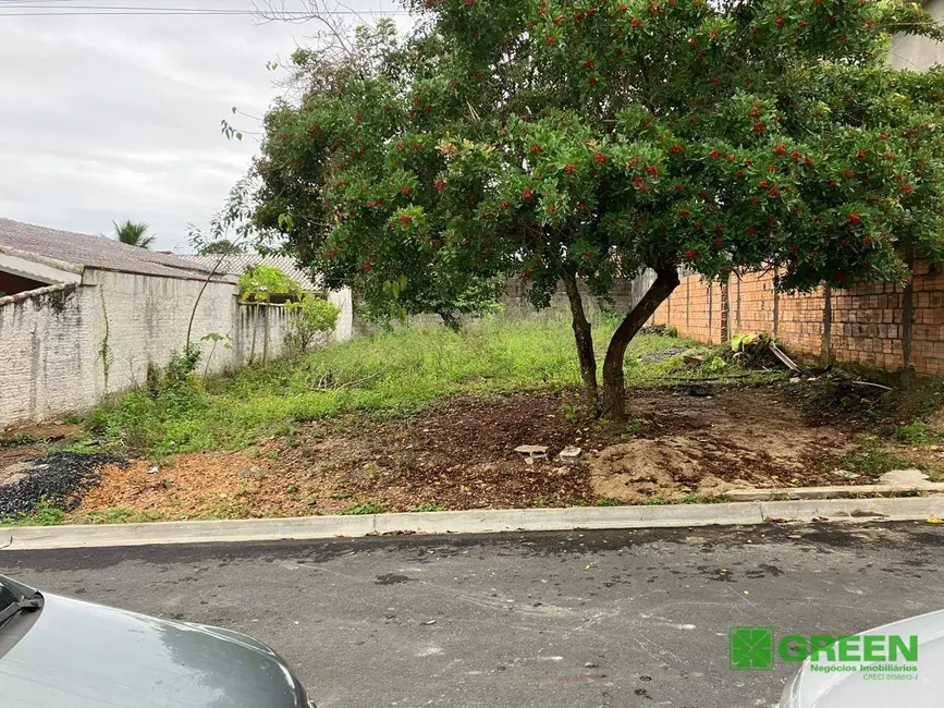 Foto 3 de Terreno / Lote à venda, 300m2 em Registro - SP