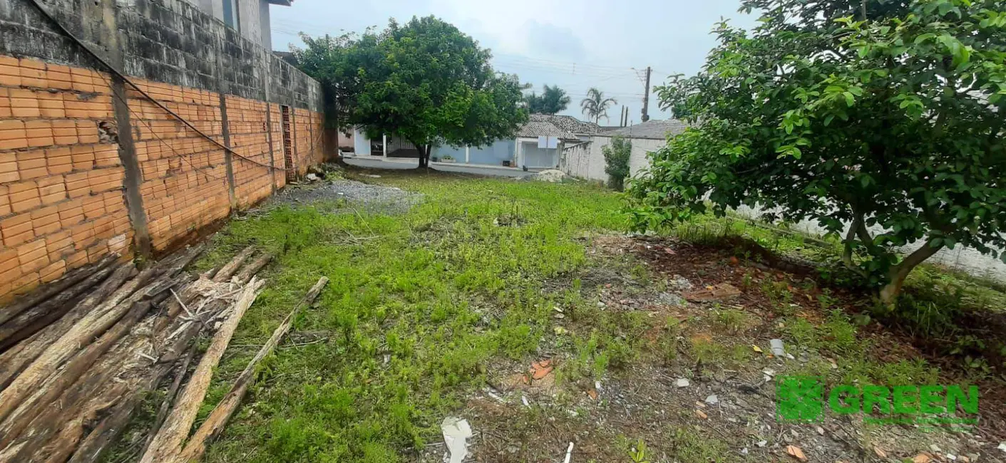 Foto 4 de Terreno / Lote à venda, 300m2 em Registro - SP