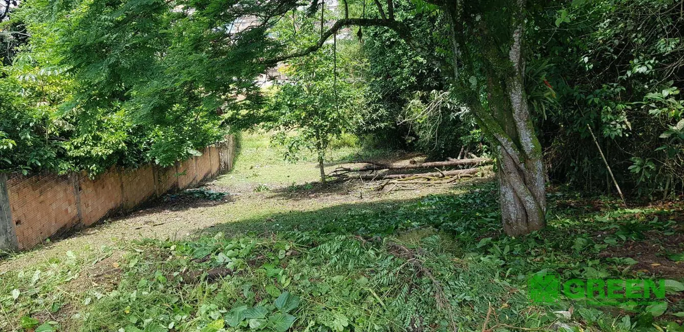 Foto 5 de Terreno / Lote à venda, 748m2 em Registro - SP