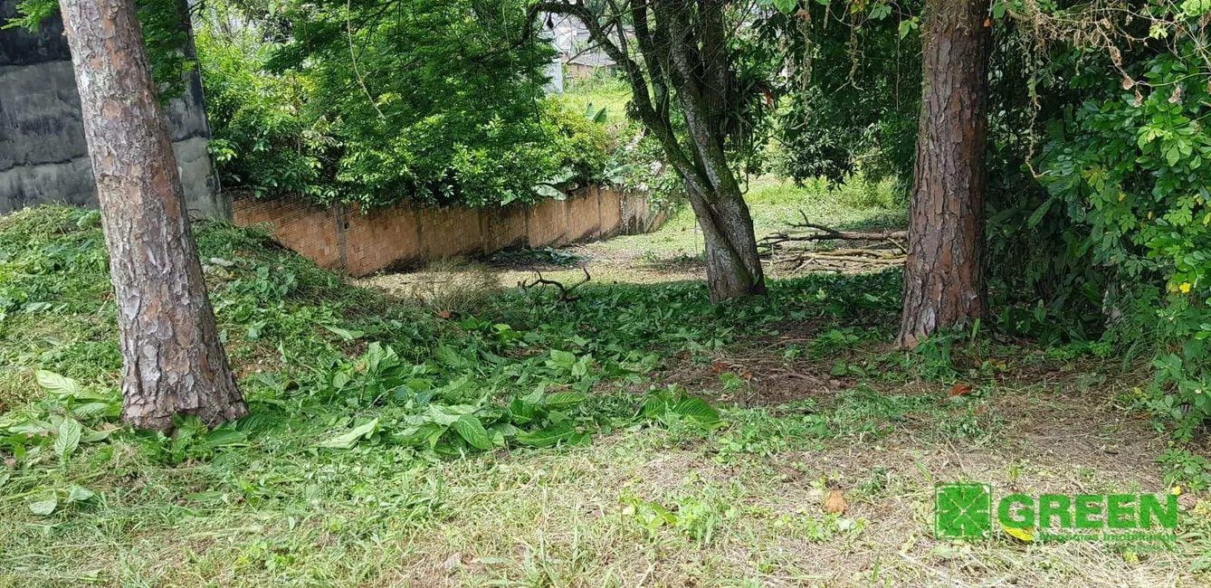 Foto 3 de Terreno / Lote à venda, 748m2 em Registro - SP