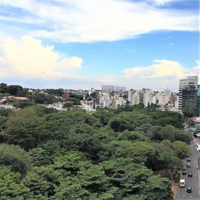 Sala Comercial para alugar, 220m2 em Cambuí, Campinas - SP - imagem 7 Foto 7 de Sala Comercial para alugar, 220m2 em Cambuí, Campinas - SP
