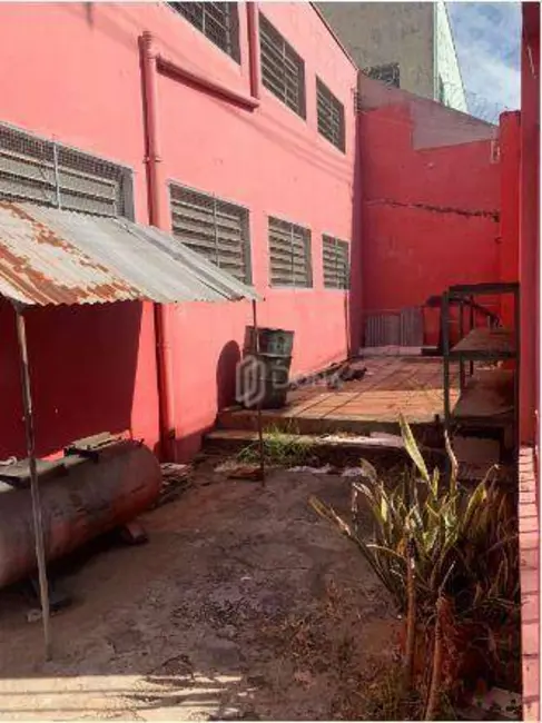 Foto 2 de Armazém / Galpão para alugar, 400m2 em Parque São Quirino, Campinas - SP