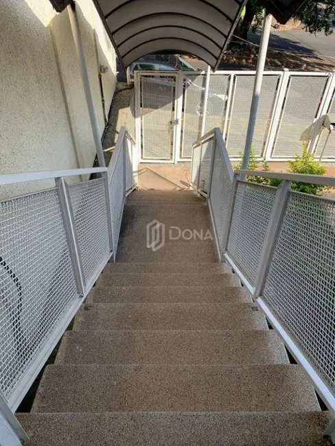 Casa à venda e para alugar, 600m2 em Jardim Chapadão, Campinas - SP - imagem 5 Foto 5 de Casa à venda e para alugar, 600m2 em Jardim Chapadão, Campinas - SP