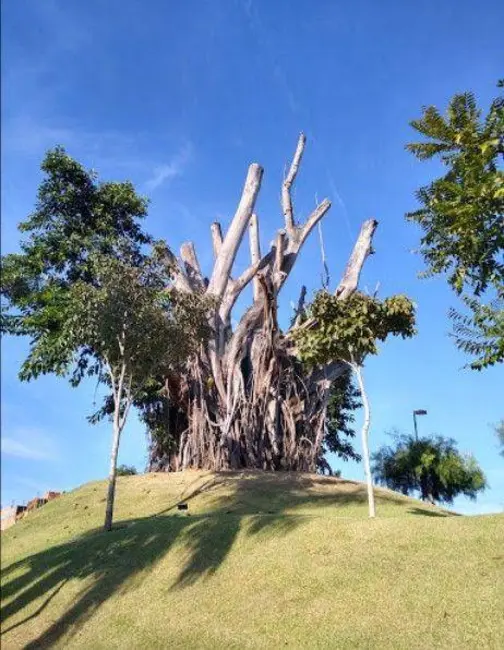 Casa de Condomínio com 4 quartos à venda, 462m2 em Campinas - SP - imagem 6 Foto 6 de Casa de Condomínio com 4 quartos à venda, 462m2 em Campinas - SP