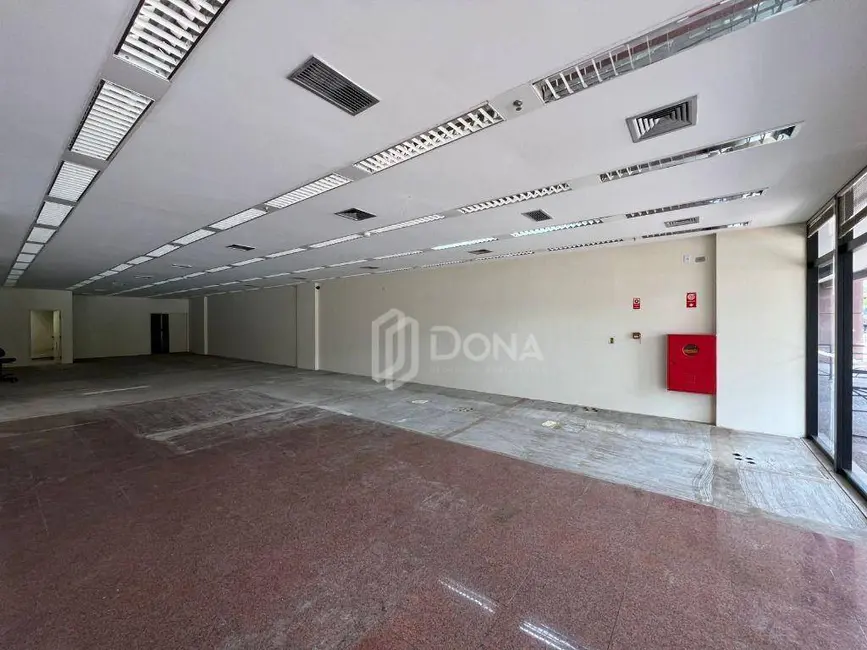 Sala Comercial para alugar, 378m2 em Cambuí, Campinas - SP - imagem 3 Foto 3 de Sala Comercial para alugar, 378m2 em Cambuí, Campinas - SP