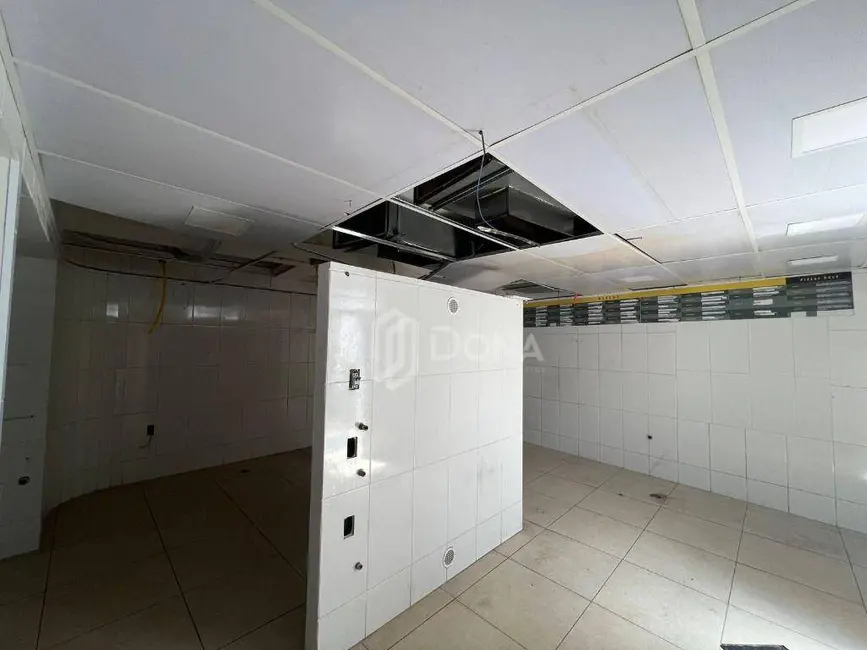 Foto 24 de Casa para alugar, 450m2 em Cambuí, Campinas - SP