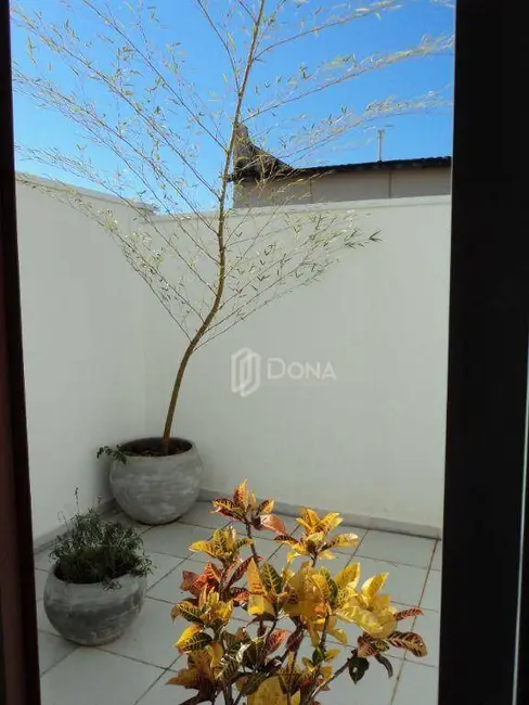 Sala Comercial à venda e para alugar, 35m2 em Cambuí, Campinas - SP - imagem 4 Foto 4 de Sala Comercial à venda e para alugar, 35m2 em Cambuí, Campinas - SP