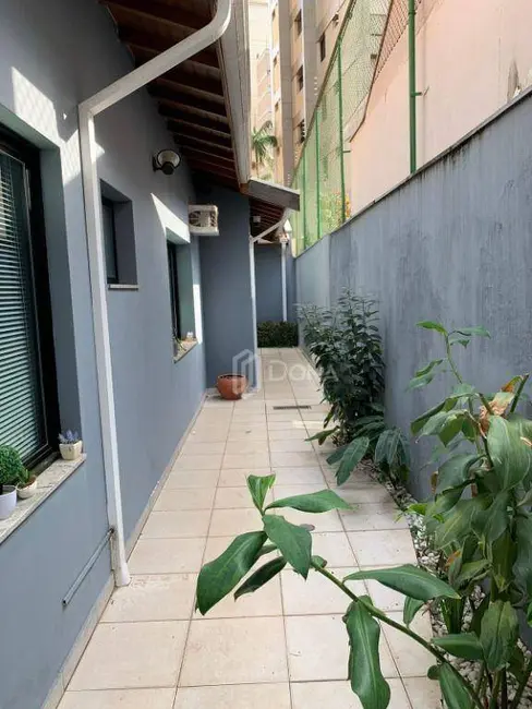 Casa à venda, 260m2 em Cambuí, Campinas - SP - imagem 8 Foto 8 de Casa à venda, 260m2 em Cambuí, Campinas - SP