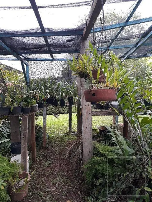 Sala Comercial para alugar, 5200m2 em Vila Boa Esperança, Valinhos - SP - imagem 6 Foto 6 de Sala Comercial para alugar, 5200m2 em Vila Boa Esperança, Valinhos - SP