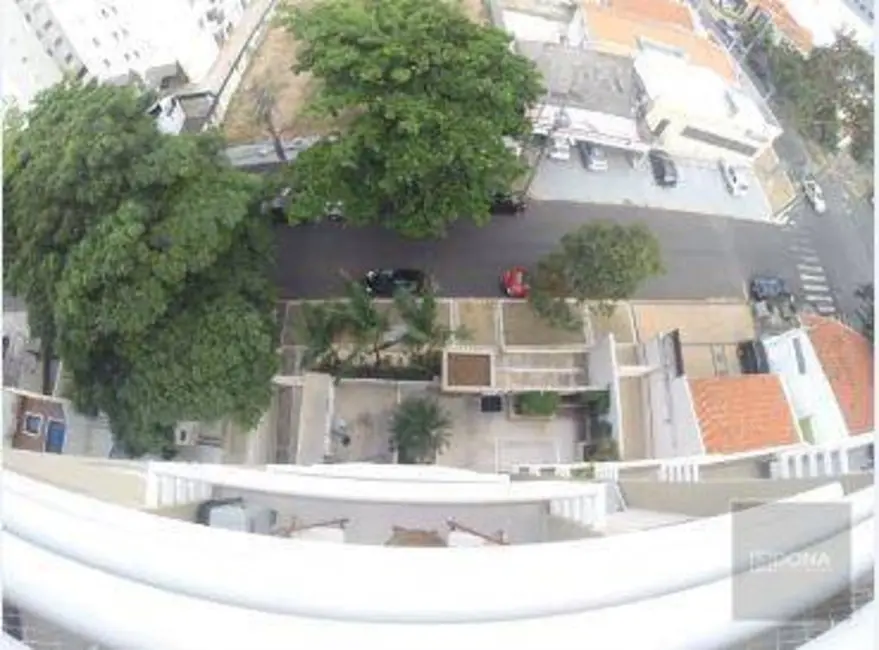 Apartamento com 1 quarto para alugar, 52m2 em Cambuí, Campinas - SP - imagem 3 Foto 3 de Apartamento com 1 quarto para alugar, 52m2 em Cambuí, Campinas - SP