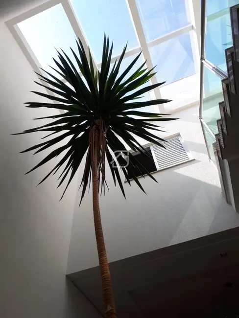 Casa com 3 quartos à venda, 175m2 em Vila Floresta, Santo Andre - SP - imagem 9 Foto 9 de Casa com 3 quartos à venda, 175m2 em Vila Floresta, Santo Andre - SP