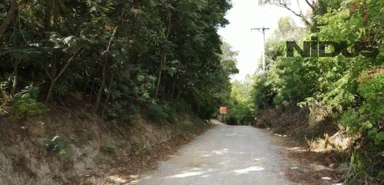 Foto 7 de Terreno / Lote à venda, 12000m2 em Brigadeiro Tobias, Sorocaba - SP