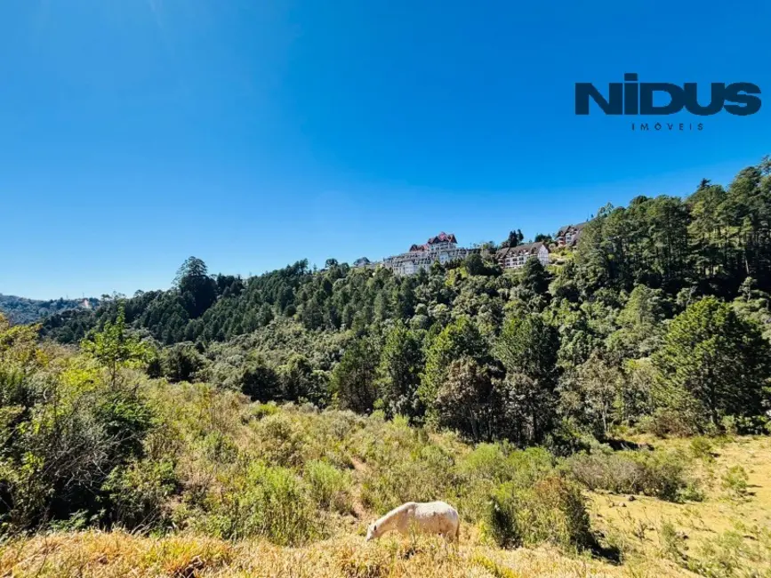 Foto 4 de Terreno / Lote à venda, 5024m2 em Campos Do Jordao - SP