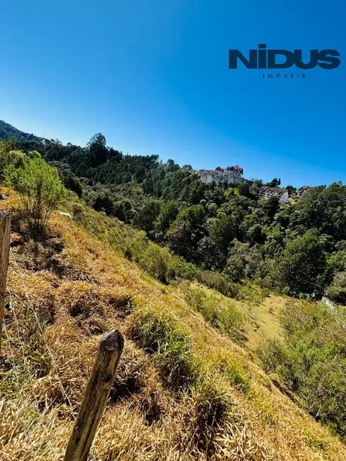 Foto 5 de Terreno / Lote à venda, 5024m2 em Campos Do Jordao - SP