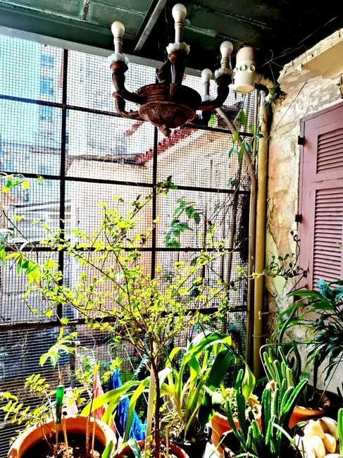 Casa com 2 quartos à venda, 120m2 em Tijuca, Rio De Janeiro - RJ - imagem 7 Foto 7 de Casa com 2 quartos à venda, 120m2 em Tijuca, Rio De Janeiro - RJ