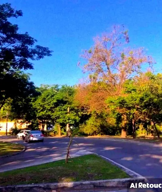 Casa com 3 quartos à venda, 150m2 em Taquara, Rio De Janeiro - RJ - imagem 9 Foto 9 de Casa com 3 quartos à venda, 150m2 em Taquara, Rio De Janeiro - RJ
