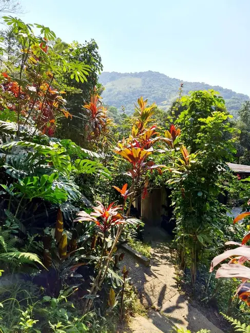 Foto 8 de Casa com 6 quartos à venda, 650m2 em Vargem Grande, Rio De Janeiro - RJ