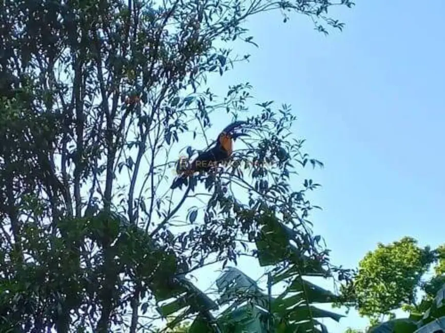 Foto 9 de Casa com 4 quartos à venda, 306m2 em Vargem Pequena, Rio De Janeiro - RJ