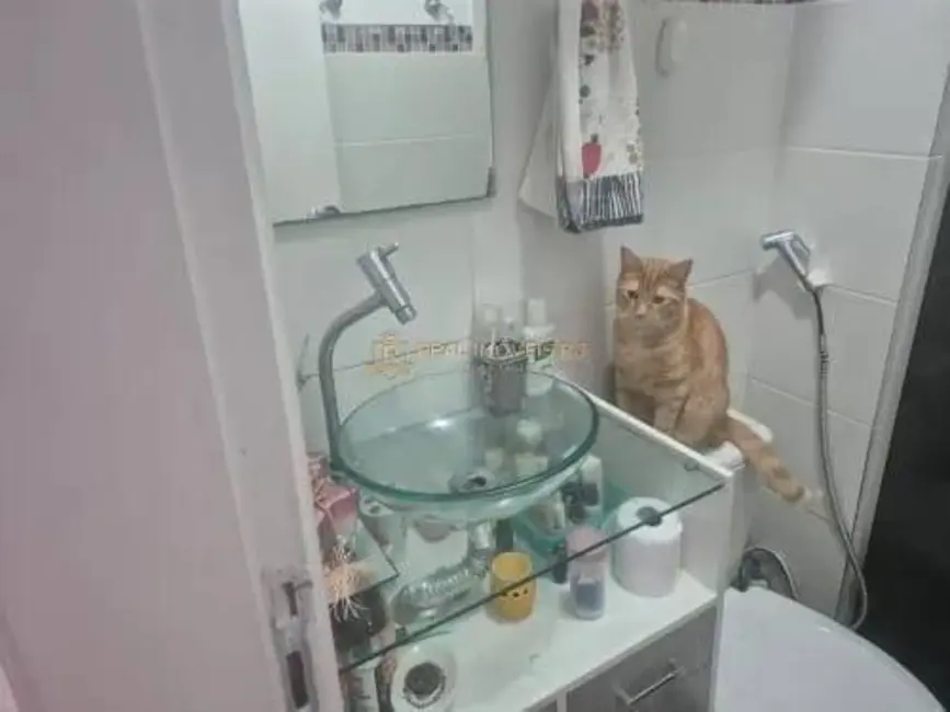 Apartamento com 3 quartos à venda, 53m2 em Taquara, Rio De Janeiro - RJ - imagem 9 Foto 9 de Apartamento com 3 quartos à venda, 53m2 em Taquara, Rio De Janeiro - RJ