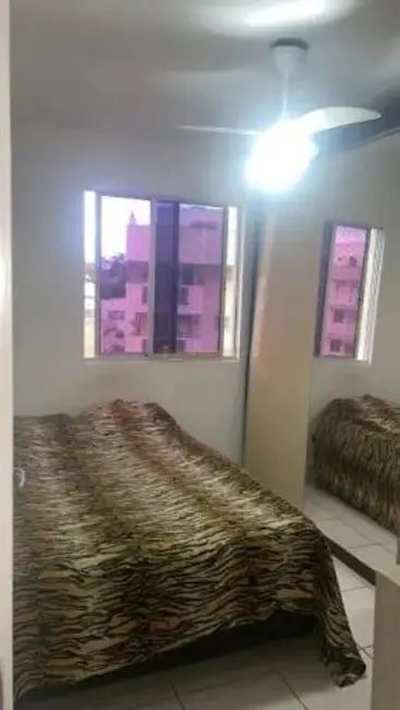 Foto 8 de Apartamento com 3 quartos à venda, 76m2 em Pechincha, Rio De Janeiro - RJ