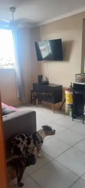 Foto 4 de Apartamento com 2 quartos à venda, 40m2 em Taquara, Rio De Janeiro - RJ