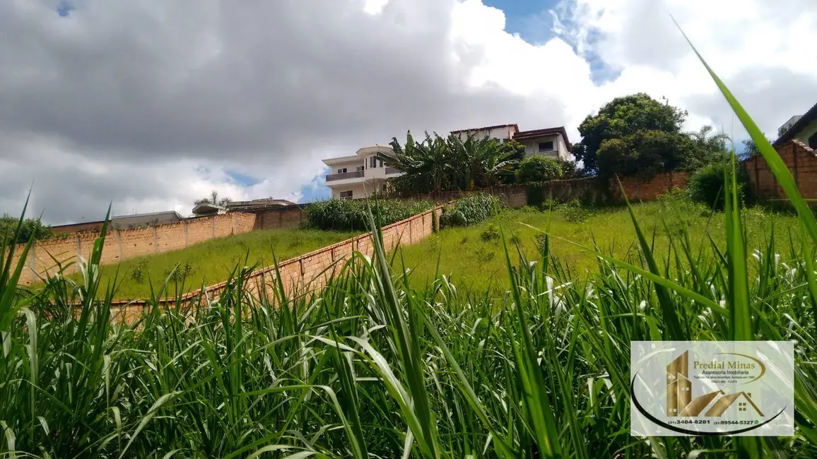 Terreno / Lote à venda, 1000m2 em Belo Horizonte - MG - imagem 8 Foto 8 de Terreno / Lote à venda, 1000m2 em Belo Horizonte - MG
