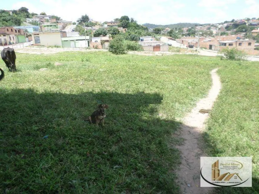 Terreno / Lote à venda, 360m2 em Alicante, Ribeirao Das Neves - MG - imagem 5 Foto 5 de Terreno / Lote à venda, 360m2 em Alicante, Ribeirao Das Neves - MG