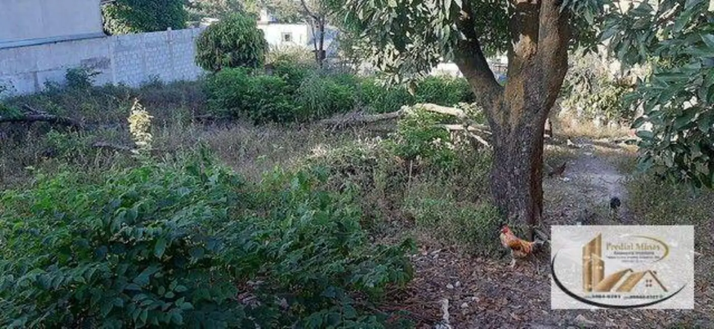 Foto 6 de Terreno / Lote à venda, 1000m2 em Contagem - MG