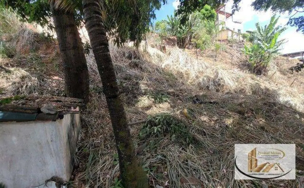 Terreno / Lote à venda, 603m2 em Dom Bosco, Belo Horizonte - MG - imagem 5 Foto 5 de Terreno / Lote à venda, 603m2 em Dom Bosco, Belo Horizonte - MG