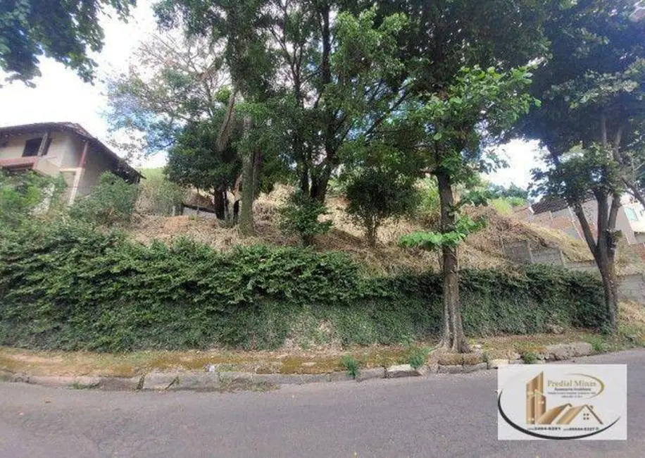 Terreno / Lote à venda, 603m2 em Dom Bosco, Belo Horizonte - MG - imagem 6 Foto 6 de Terreno / Lote à venda, 603m2 em Dom Bosco, Belo Horizonte - MG