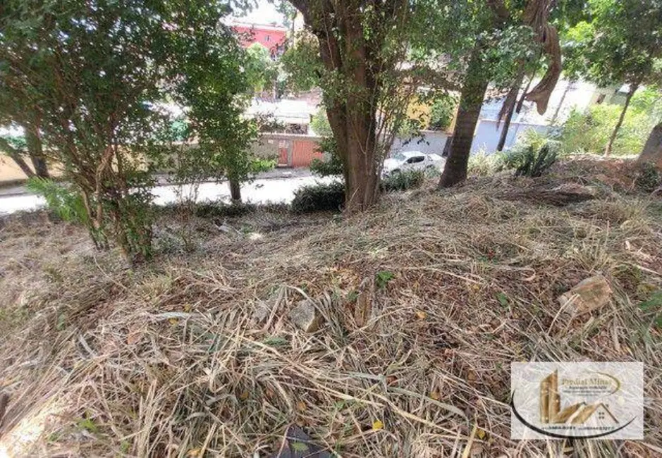 Terreno / Lote à venda, 603m2 em Dom Bosco, Belo Horizonte - MG - imagem 4 Foto 4 de Terreno / Lote à venda, 603m2 em Dom Bosco, Belo Horizonte - MG