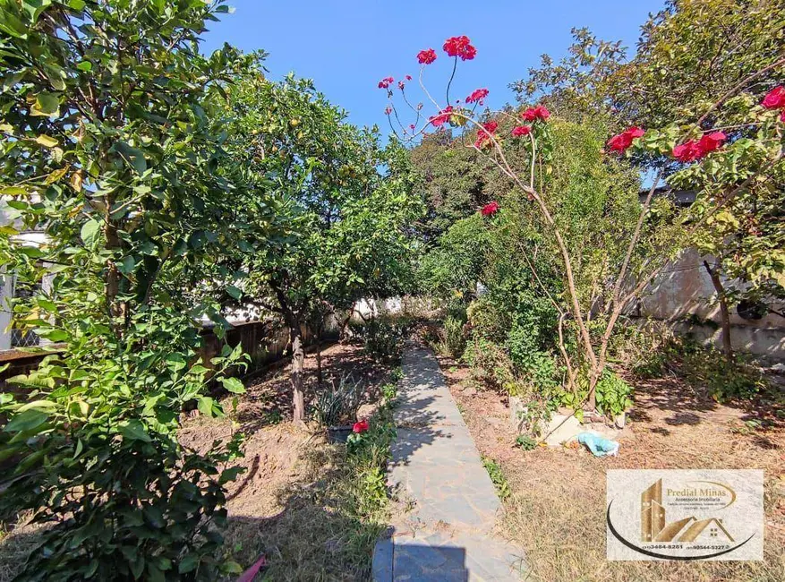 Terreno / Lote à venda, 360m2 em Alto dos Pinheiros, Belo Horizonte - MG - imagem 8 Foto 8 de Terreno / Lote à venda, 360m2 em Alto dos Pinheiros, Belo Horizonte - MG