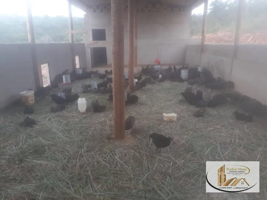 Foto 8 de Chácara com 2 quartos à venda, 20000m2 em Pinhões, Santa Luzia - MG