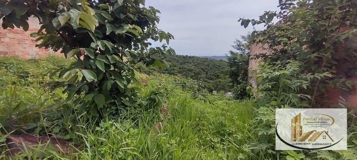 Terreno / Lote à venda, 360m2 em Jardim Colonial, Ribeirao Das Neves - MG - imagem 8 Foto 8 de Terreno / Lote à venda, 360m2 em Jardim Colonial, Ribeirao Das Neves - MG