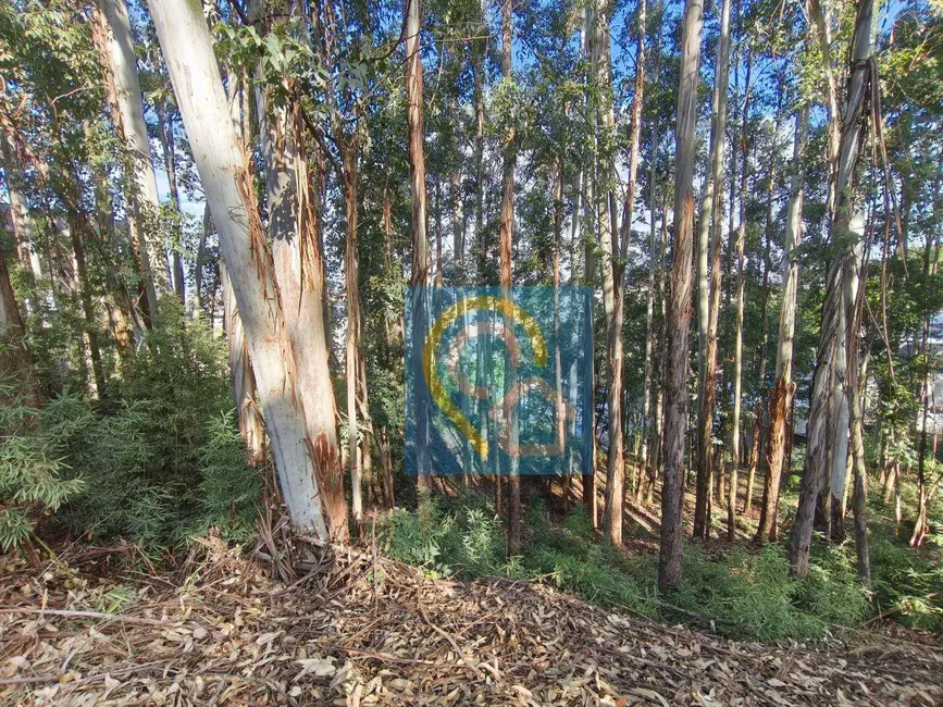 Foto 5 de Terreno / Lote à venda, 1522m2 em Residencial Tamboré, Barueri - SP