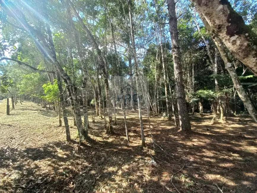 Foto 9 de Terreno / Lote à venda, 16760m2 em Juquitiba - SP