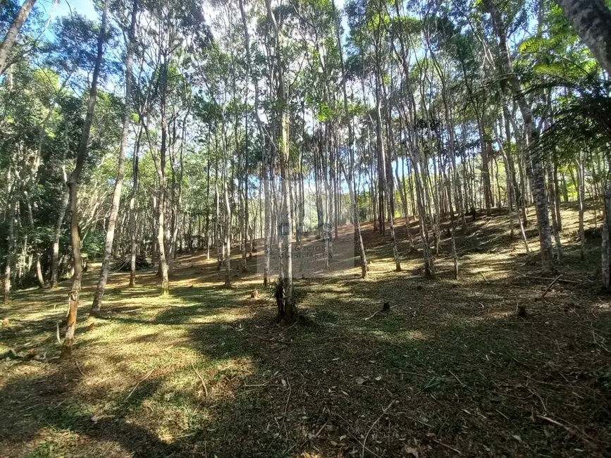 Foto 8 de Terreno / Lote à venda, 16760m2 em Juquitiba - SP