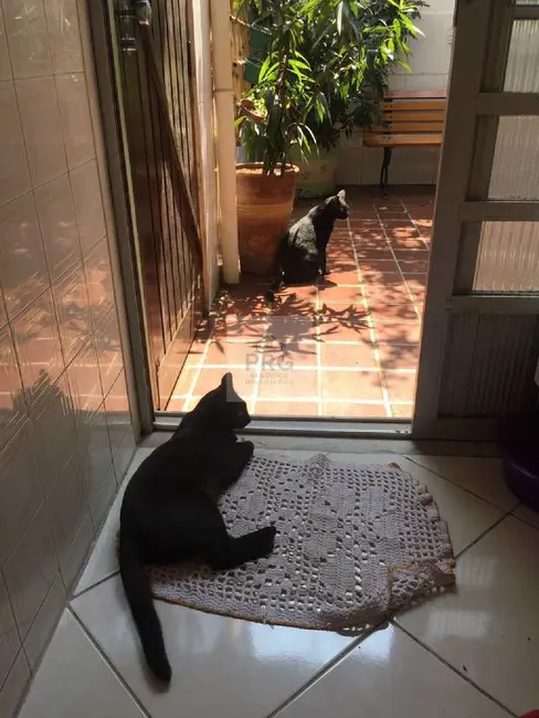 Casa com 3 quartos à venda, 101m2 em Jardim Monte Kemel, São Paulo - SP - imagem 8 Foto 8 de Casa com 3 quartos à venda, 101m2 em Jardim Monte Kemel, São Paulo - SP