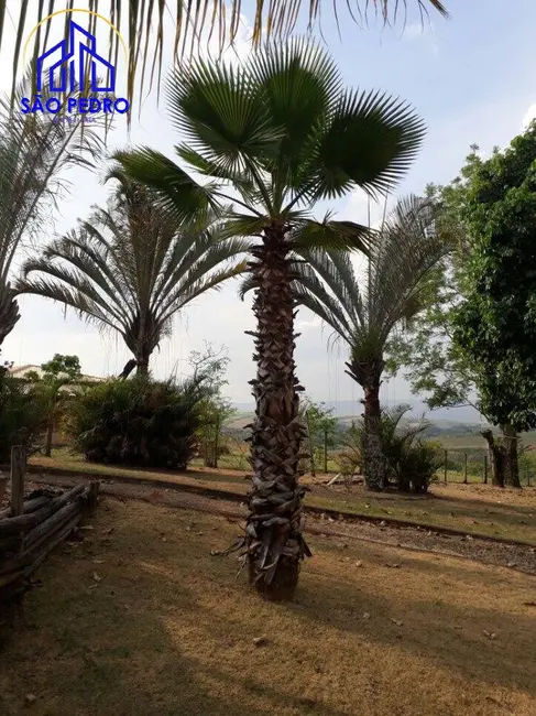 Foto 7 de Chácara com 3 quartos à venda, 5040m2 em Aguas De Sao Pedro - SP