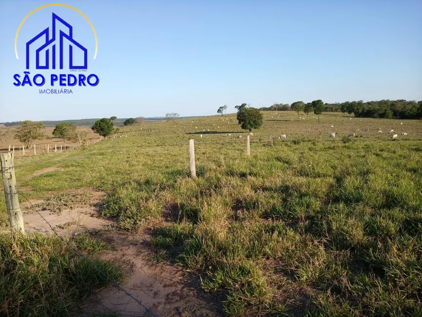 Foto 7 de Fazenda / Haras à venda, 72m2 em Itatinga - SP