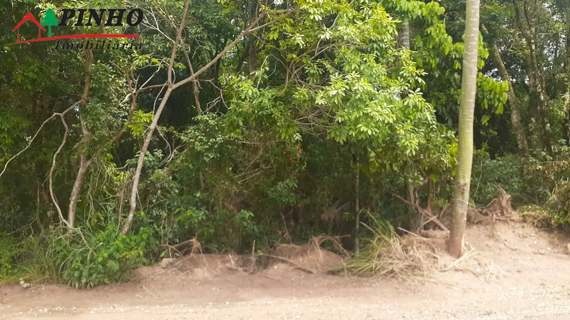 Foto 3 de Terreno / Lote à venda, 5000m2 em Sao Pedro - SP