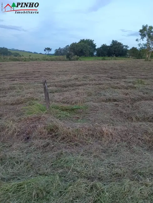 Foto 7 de Terreno / Lote à venda, 5000m2 em Sao Pedro - SP