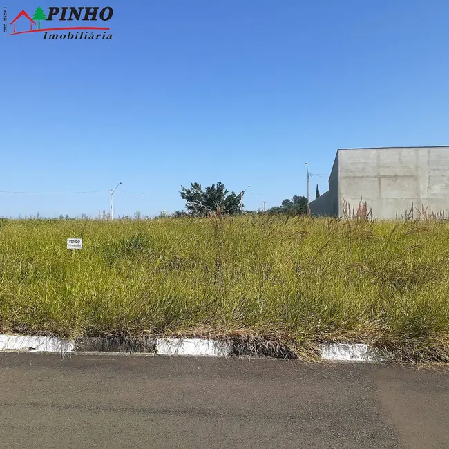 Foto 3 de Terreno / Lote à venda, 250m2 em Sao Pedro - SP