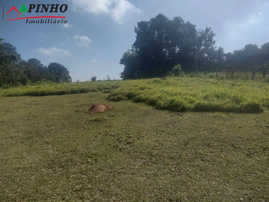Foto 6 de Terreno / Lote à venda, 5000m2 em Sao Pedro - SP